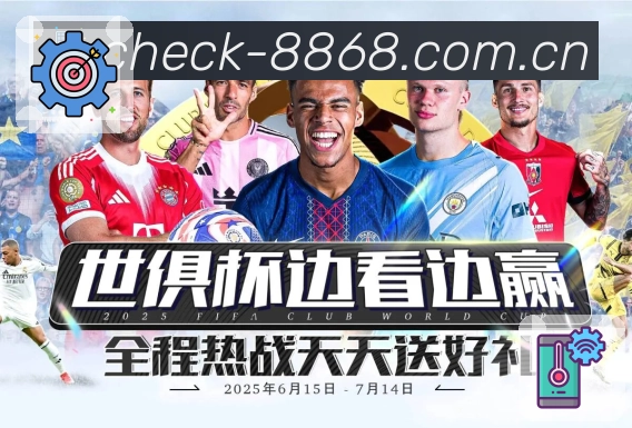 全球访问热度示意图